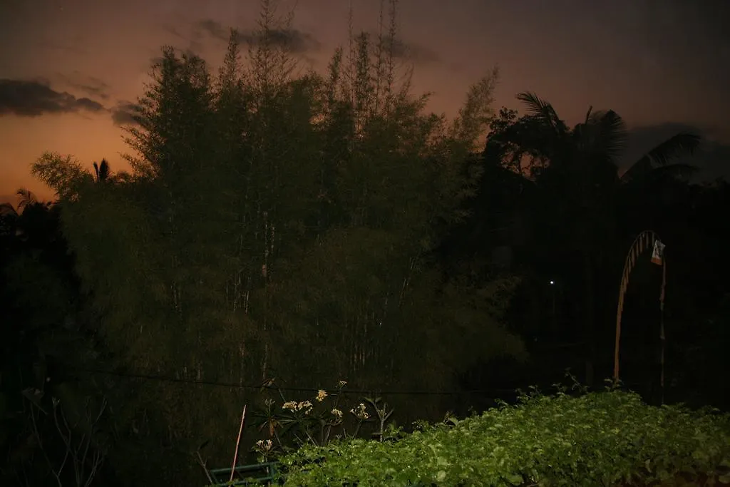 Pondok Taman Asri Homestay Ubud